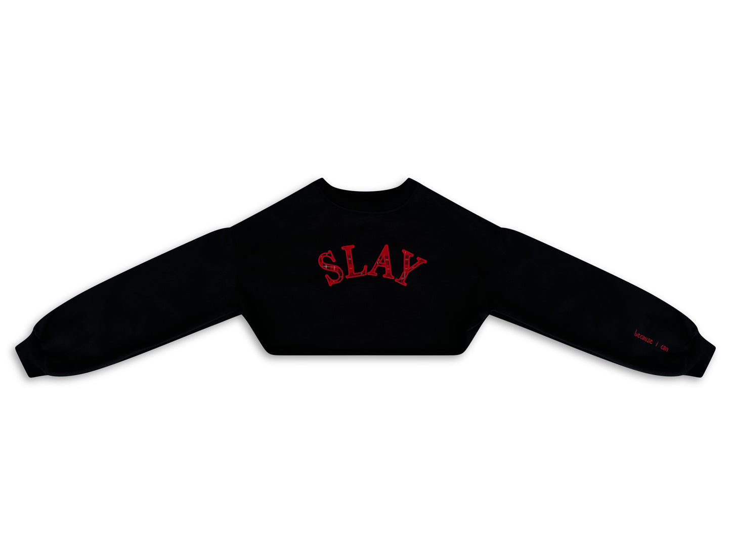 SLAY (Because I can) Crewneck Embroidered Applique Croptop