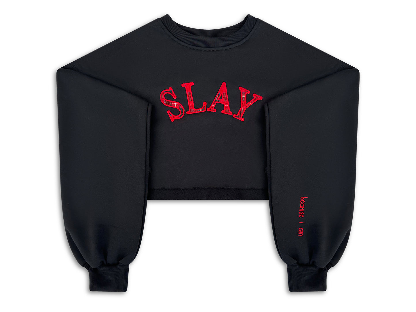 SLAY (Because I can) Crewneck Embroidered Applique Croptop