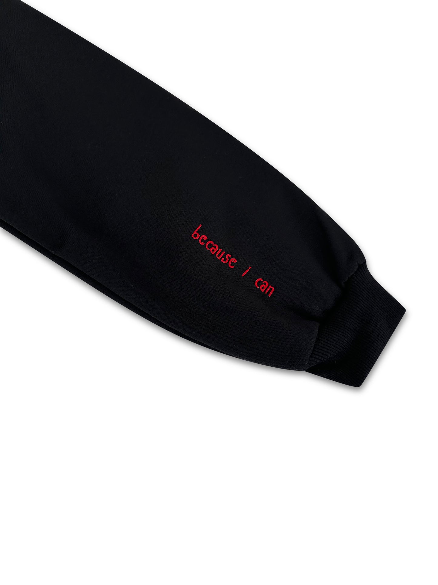 SLAY (Because I can) Crewneck Embroidered Applique Croptop