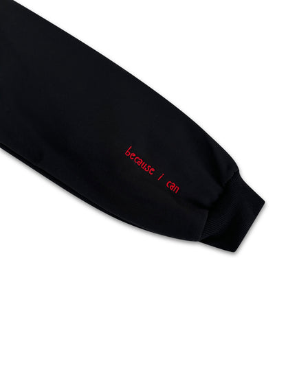 SLAY (Because I can) Crewneck Embroidered Applique Croptop